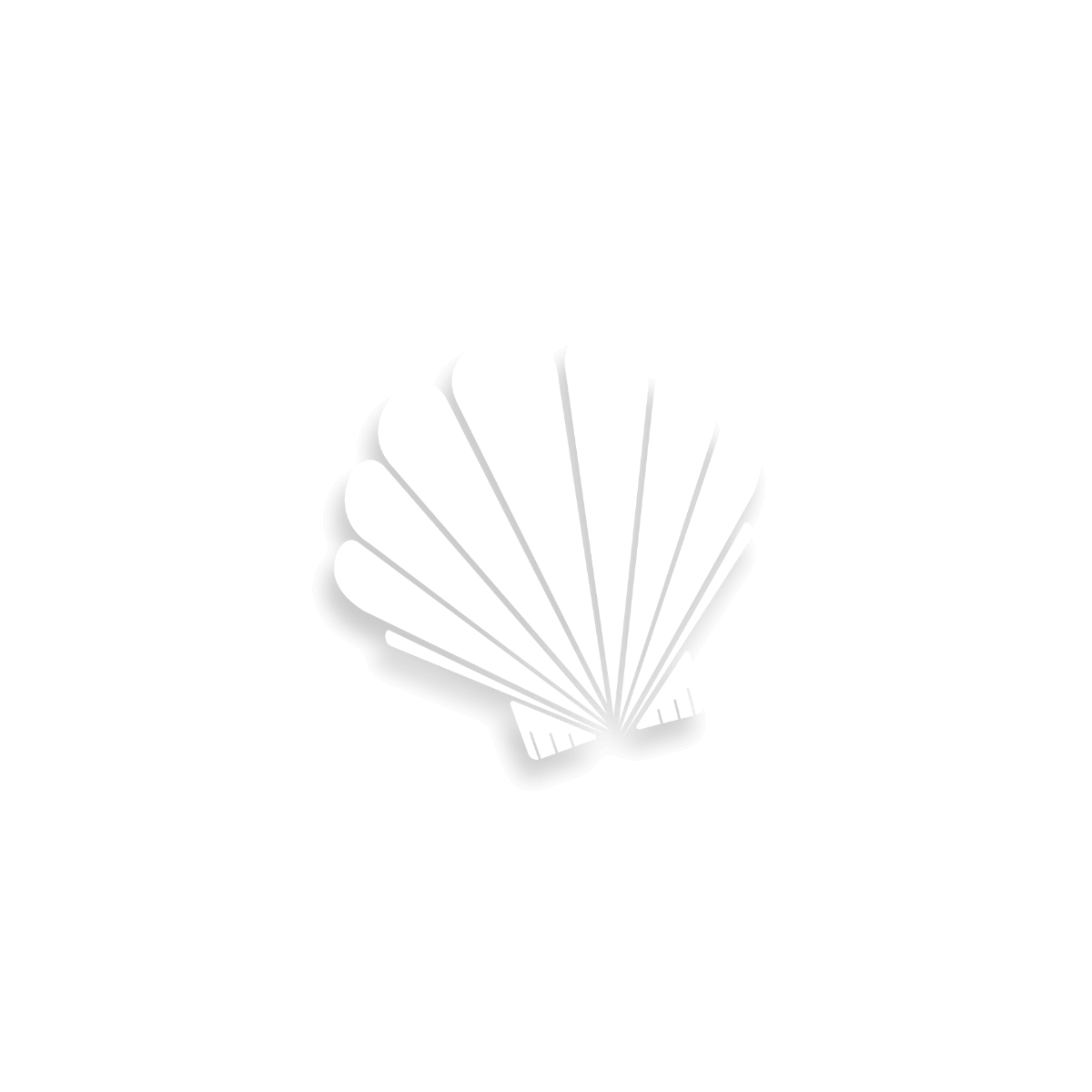logo blanc marine